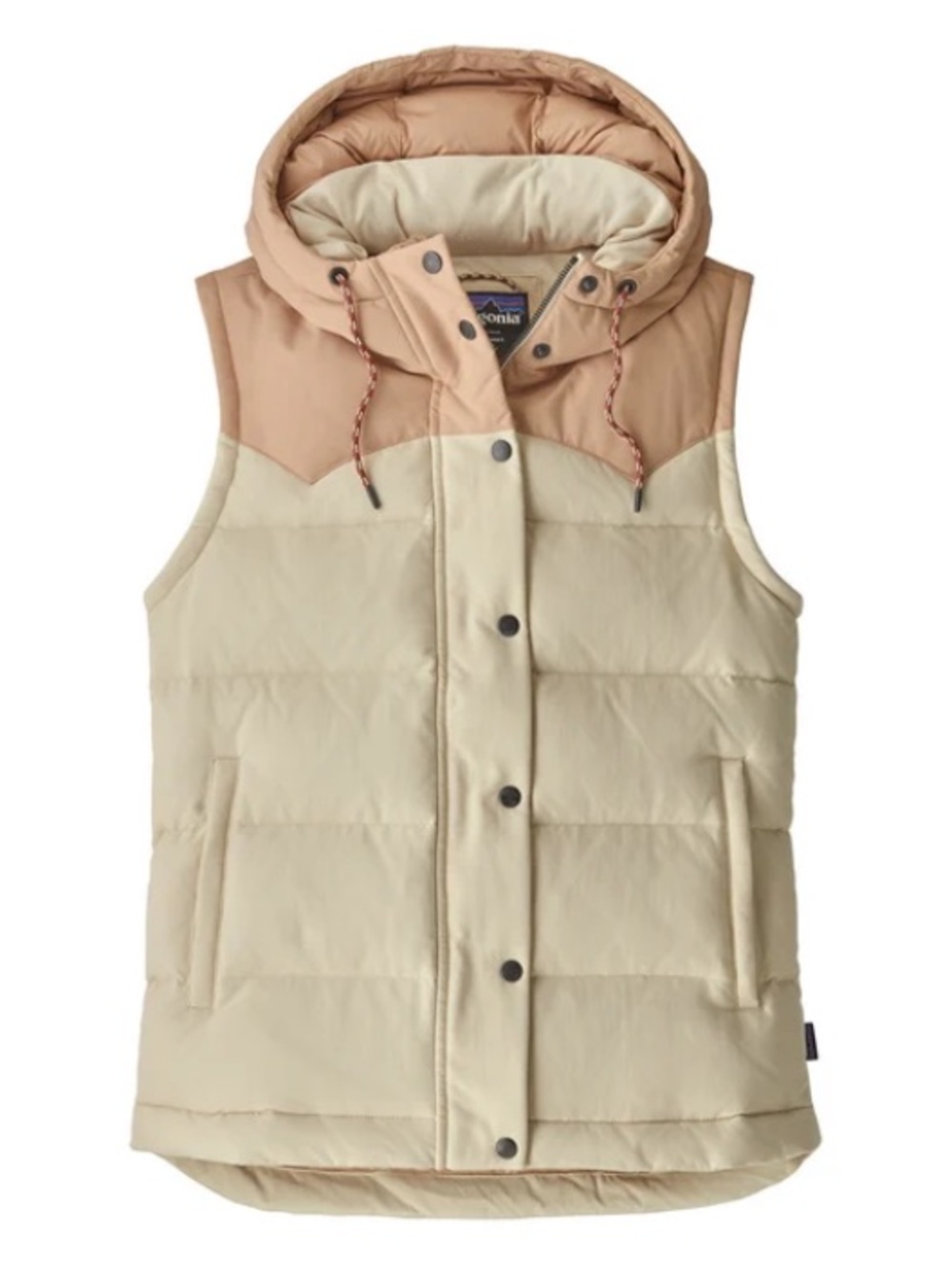 EUC Patagonia Bivy Hooded Vest